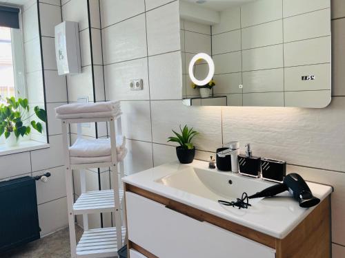a bathroom with a sink and a ladder and a mirror at Altstadt Loft - Im Herzen der Altstadt - TREVIET in Pirna