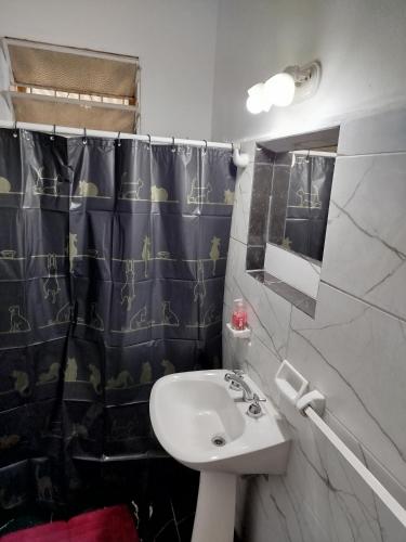 a bathroom with a sink and a shower curtain at Villa Coca -Los Jilgueros- in Villa la Bolsa