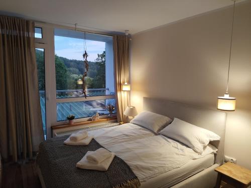 a bedroom with a bed with a large window at HEARTH HILL VIEW APARTMENT in Ustroń