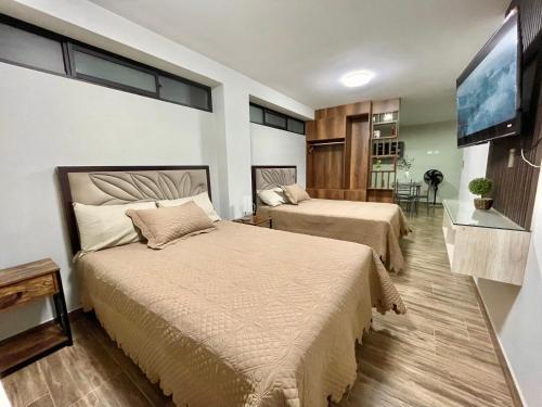 a bedroom with two beds and a flat screen tv at Olive Loft - Local Sensory and Boutique Experience in Tacna