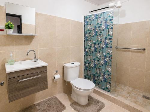 a bathroom with a toilet and a shower at Pousada das Estrelas - Centro de Conservatória - rua principal in Conservatória