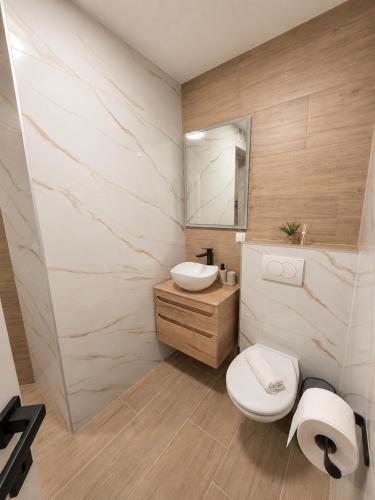 a bathroom with a toilet and a sink and a mirror at Apartmani Morѐll in Novalja