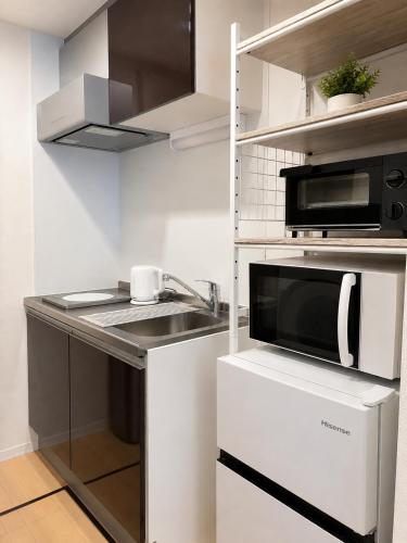 Capital Shimbashi Hotel 101, Studio