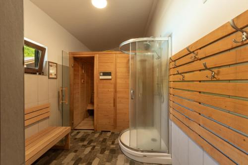 a bathroom with a shower and a toilet at Kalabash Apartments in Sovata