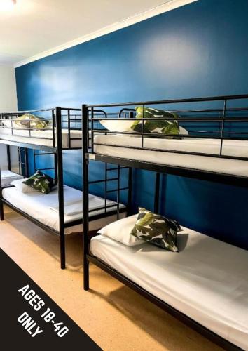 a group of bunk beds in a room at MOM Darwin in Darwin