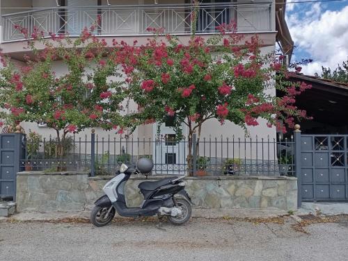 Póe home Trikala