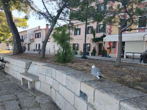 Apartman Brioni