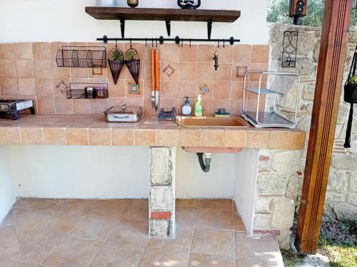 a kitchen with a counter with a sink at Κτήμα Verde in Agia Paraskevi
