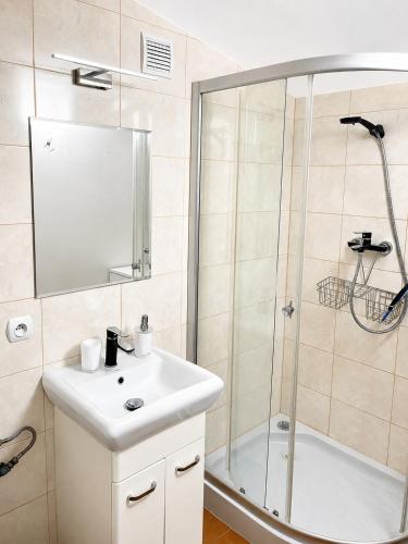 a bathroom with a sink and a shower at Zacisze nad Jeziorem- prywatny domek blisko morza in Jezierzany