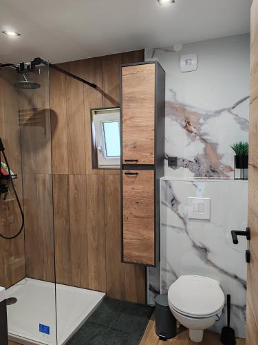 a bathroom with a shower and a toilet at Chalet Zasavka in Dol pri Hrastniku