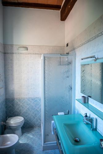 a bathroom with a blue sink and a toilet at Agriturismo Morisfarms - Santa Laura in Cura Nuova