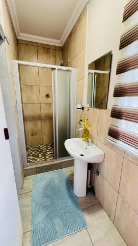 a bathroom with a sink and a shower at Hendrinas Guesthouse in Hendrina