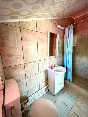 a bathroom with a sink and a toilet at Casa LariCris in Corbu