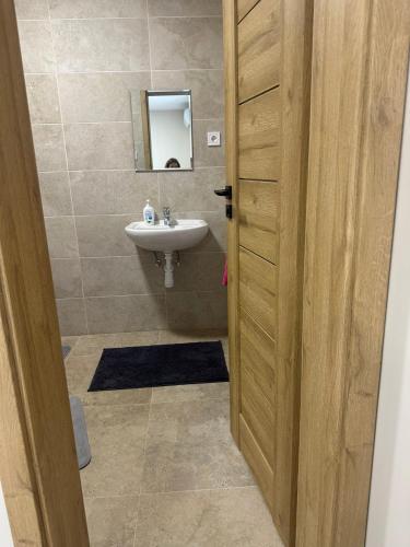 a bathroom with a sink and a mirror at Furmint Vendégház in Tállya