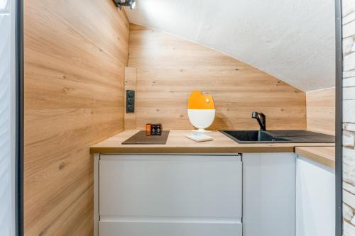 a small kitchen with wood paneling and a sink at Studio piscine Alpilles in Noves