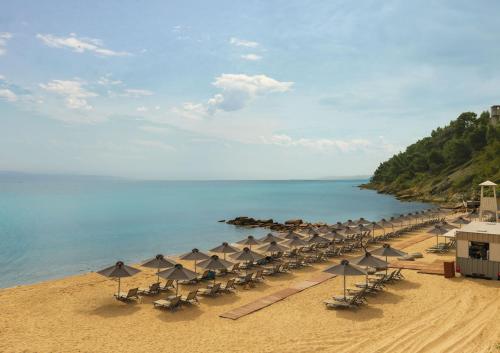 MERAVIA Leonardo Limited Edition - Adults Only — Beach