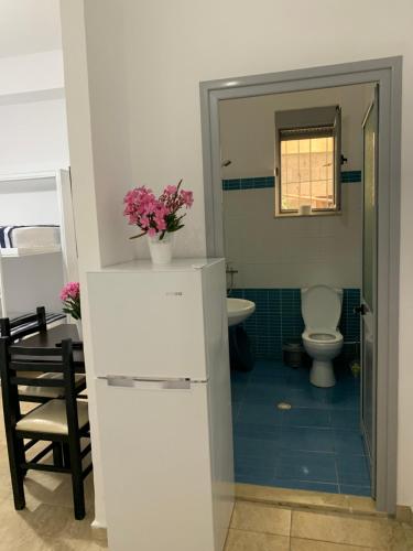 a bathroom with a white refrigerator and a toilet at Vila Kalluci in Borsh