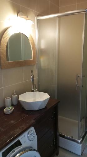 a bathroom with a sink and a shower at Green Apartman in Čukarica