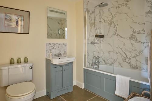 a bathroom with a shower and a toilet and a sink at Meadow View House at Pudleston Court in Docklow