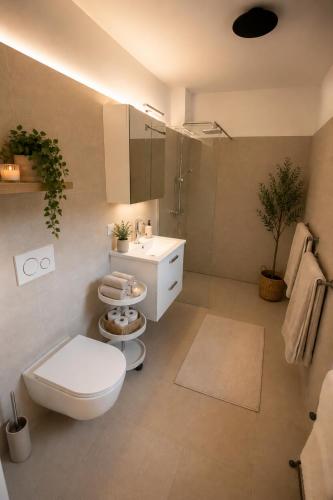 a bathroom with a white toilet and a sink at Frein Chalets - Kaltenbach 1A in Frein