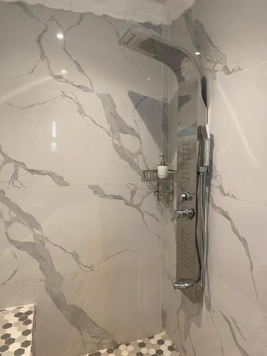 eine Dusche in einem Badezimmer mit einer Steinwand in der Unterkunft Comfy Nest Guest House in Durban