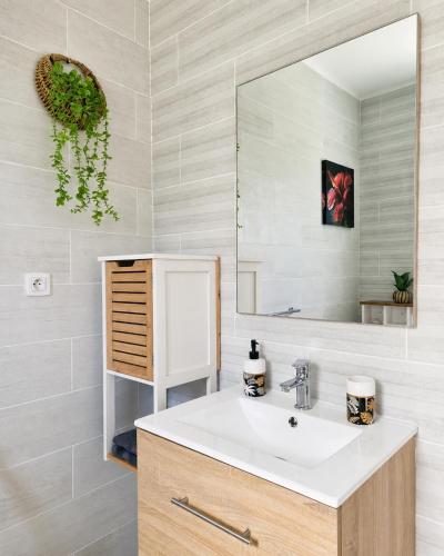 a bathroom with a sink and a mirror at Lacaze Salazie in Hell-Bourg