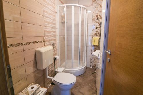 a small bathroom with a toilet and a shower at Počitniško stanovanje Aurora in Bovec