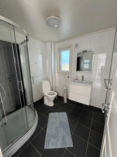 a bathroom with a shower and a toilet and a sink at House on the lake in Bogen
