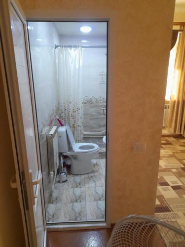 a bathroom with a toilet and a shower at Norik guest house in Garni
