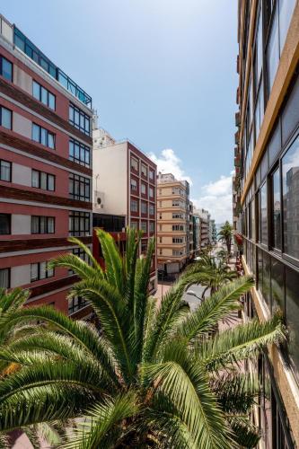 Casita Palmera Las Canteras