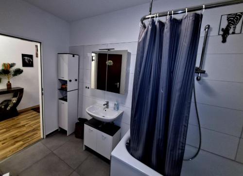 a bathroom with a blue shower curtain and a sink at Henneberger Hof Wildlife in Münnerstadt