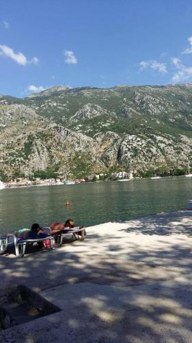 a group of people laying on picnic tables near the water at Holiday house in Kotor