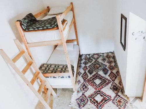 Earth Hostel