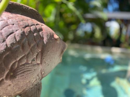 a close up of the side of a statue at LODGE COLIBRIS Piscine Privée vue panoramique mer et montagne pelée , 500 m plage dans un parc , Calme assuré Idéal pour découvrir le nord Caraïbes in Le Carbet