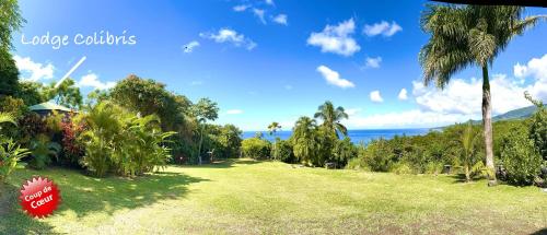 a park with palm trees and the ocean in the background at LODGE COLIBRIS Piscine Privée vue panoramique mer et montagne pelée , 500 m plage dans un parc , Calme assuré Idéal pour découvrir le nord Caraïbes in Le Carbet
