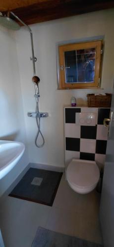 a bathroom with a white toilet and a sink at Country House Speedy in Komiža