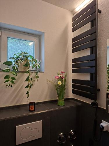 a bathroom with a window with a plant on a counter at Haus Anna in Bodenmais