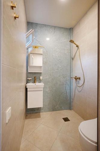 a bathroom with a shower and a toilet at Casa Camellia in Kobuleti