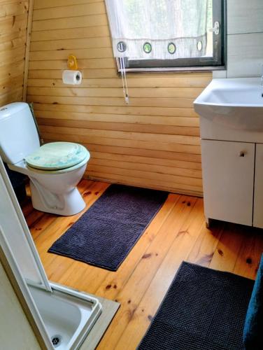 a bathroom with a toilet and a sink at Domek letniskowy 36 in Giżycko