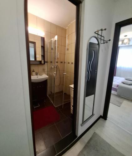 a bathroom with a shower and a sink at Cazare Herculane in Băile Herculane
