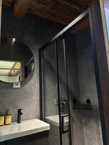 a bathroom with a shower and a sink and a mirror at Lakajų Resort in Molėtai