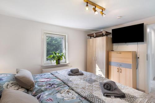a bedroom with a bed and a flat screen tv at Fewo Diemelrauschen in Eimelrod