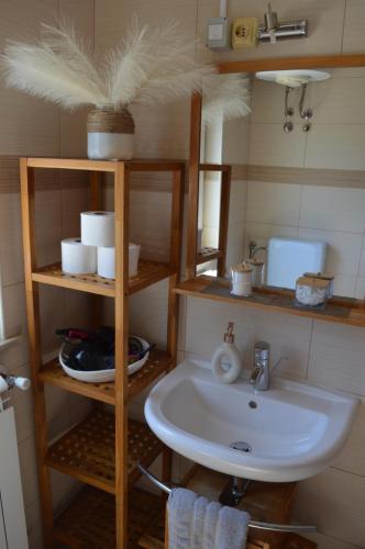 a bathroom with a sink and a shelf with towels at Holiday house Gabi Istria in Brtonigla