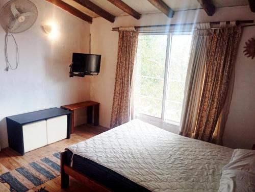 a bedroom with a bed and a tv and a window at Alojamientos Lilu in Colón