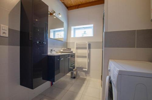 a bathroom with a shower and a sink and a mirror at Les prés saint jean in Champigny-sur-Aube