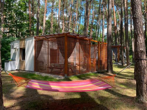 a hammock in front of a cabin in the woods at W sosnowym lesie 2 in Lubniewice