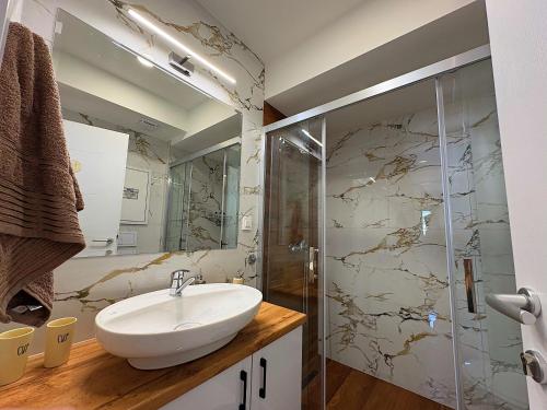 a bathroom with a sink and a glass shower at Luxury Apartment Poli in Ohrid