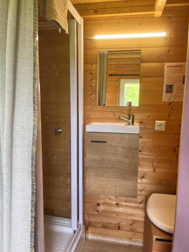 a bathroom with a sink and a toilet at Nuit insolite en Tiny House in Questembert