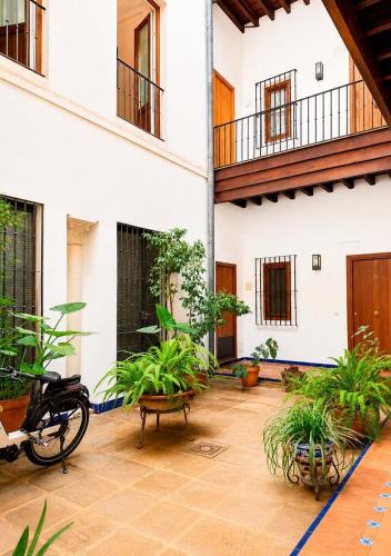 RentalSevilla Galera