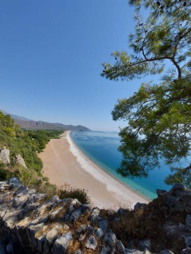a view of a beach from a cliff at Chimera Pia Aparts in Cıralı